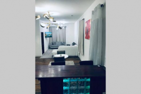 Chic Comfy Apartment 10 min from Down-Town Chicago